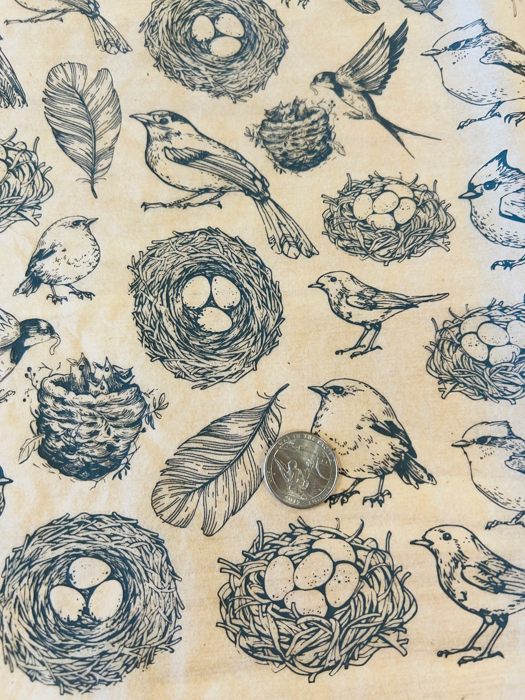 Nests - Underglaze Transfer Sheet