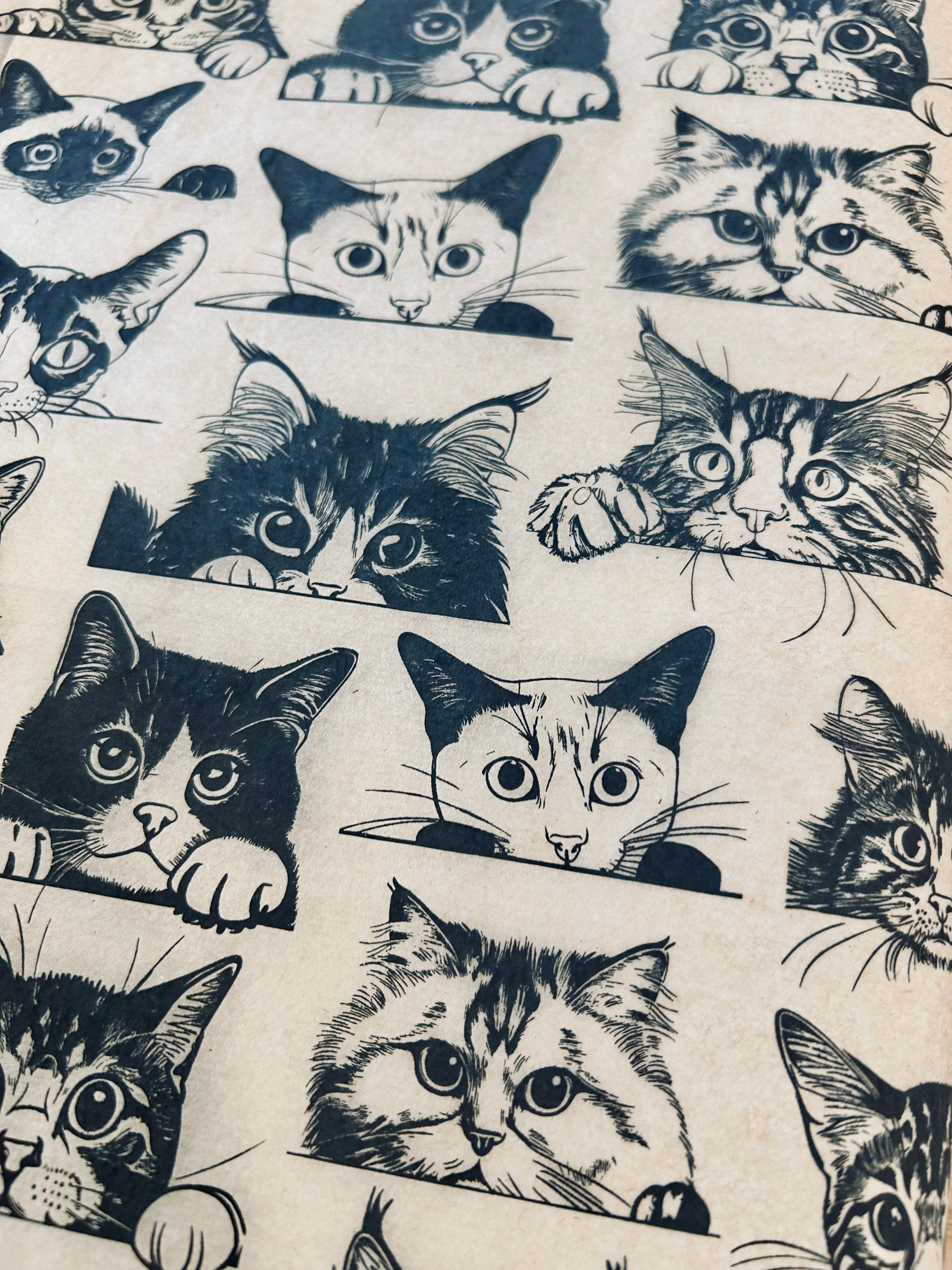 Zany Cats - Underglaze Transfer Sheet