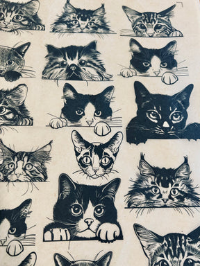 Zany Cats - Underglaze Transfer Sheet