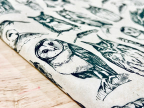 Owls - Underglaze Transfer Sheet