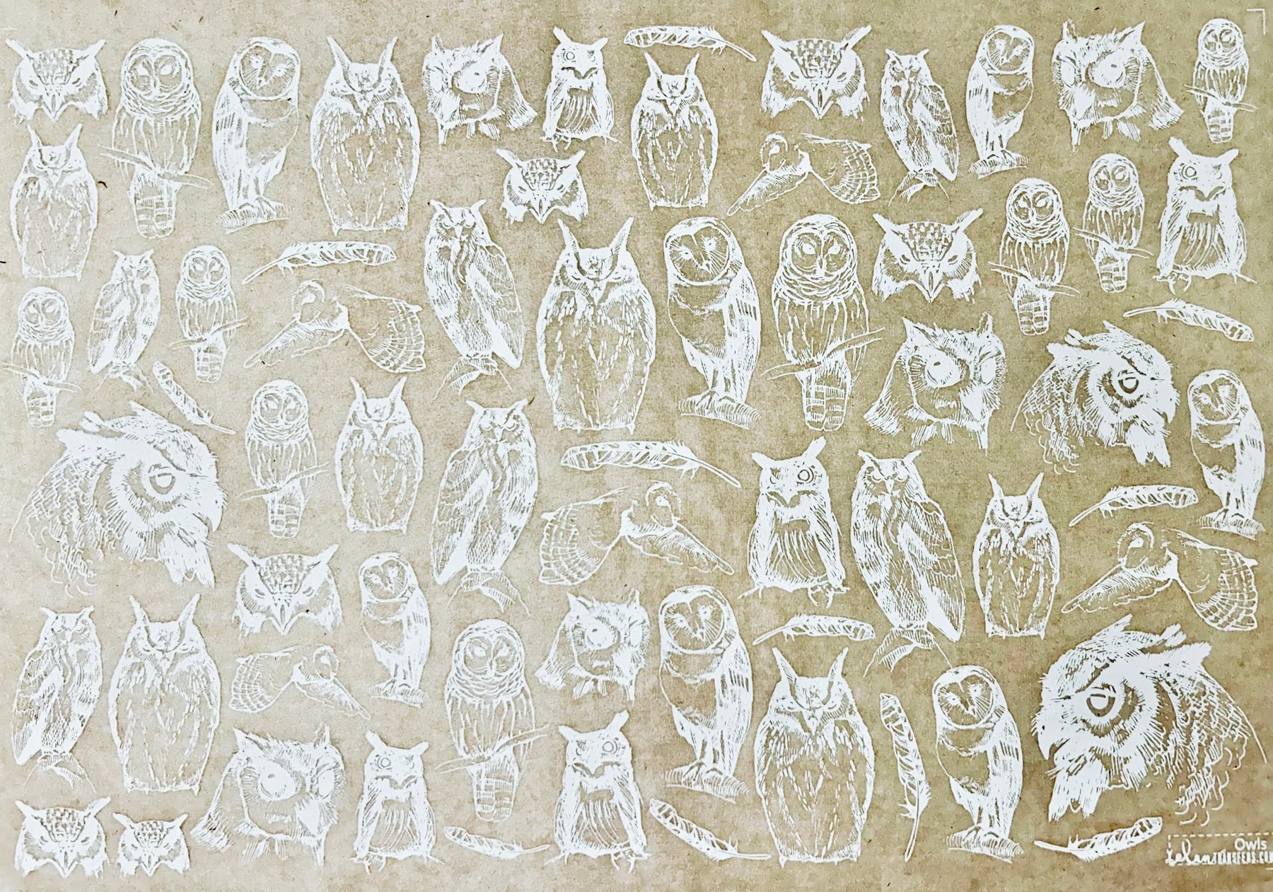 Owls - Underglaze Transfer Sheet