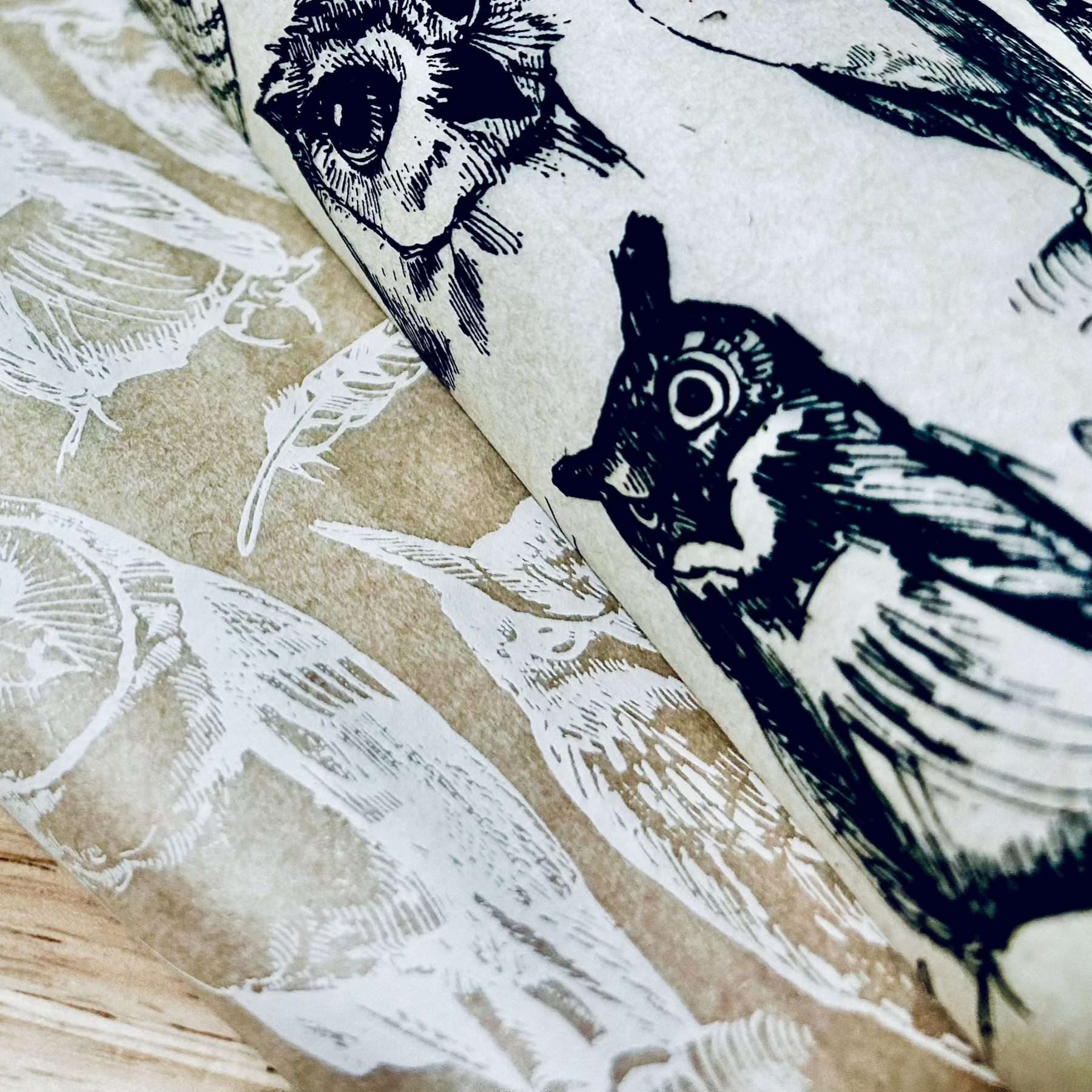 Owls - Underglaze Transfer Sheet