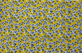 Lemons - Underglaze Transfer Sheet