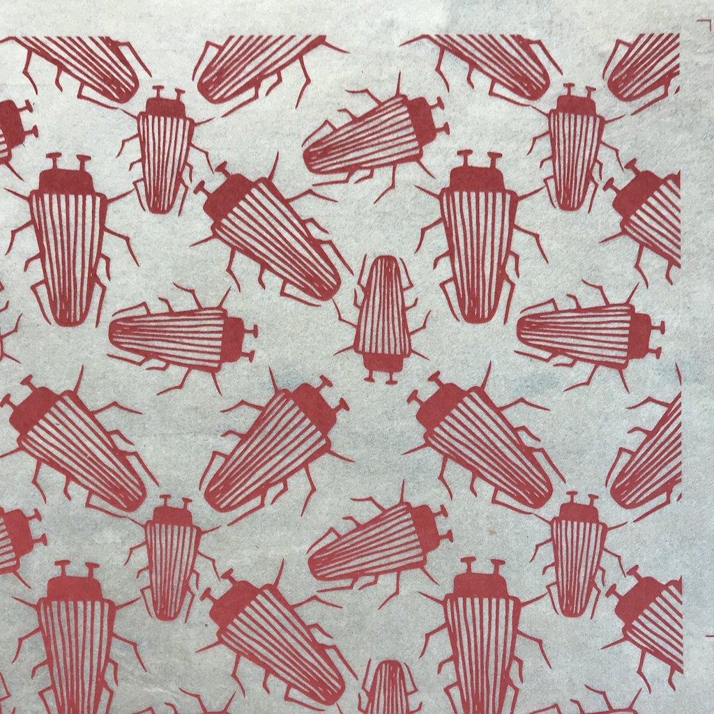 Beetles - Underglaze Transfer Sheet